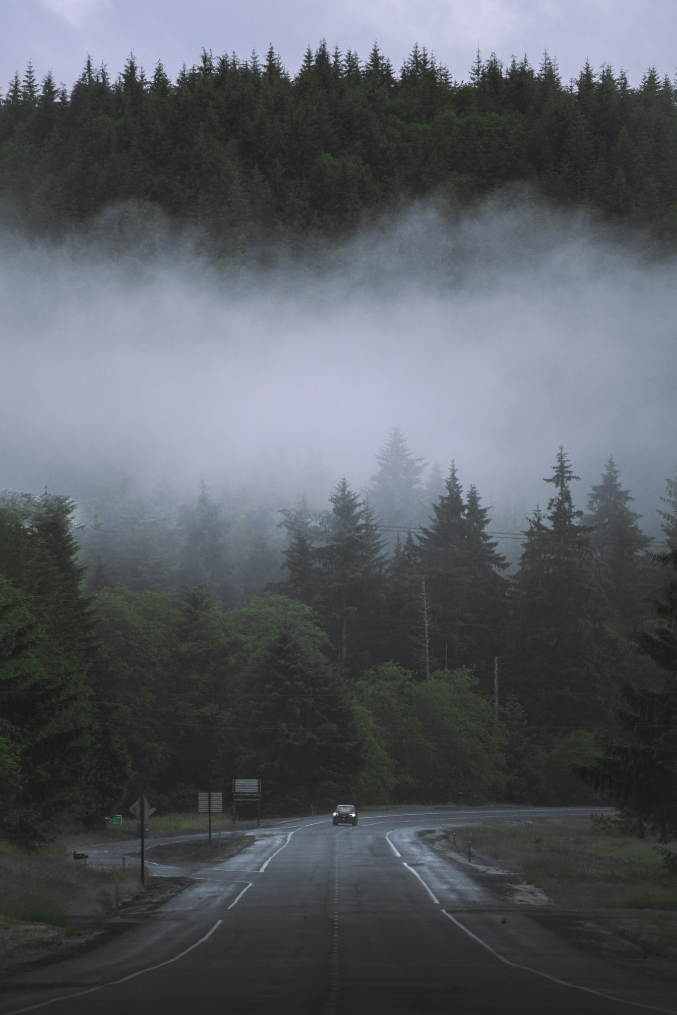 Photograph 3